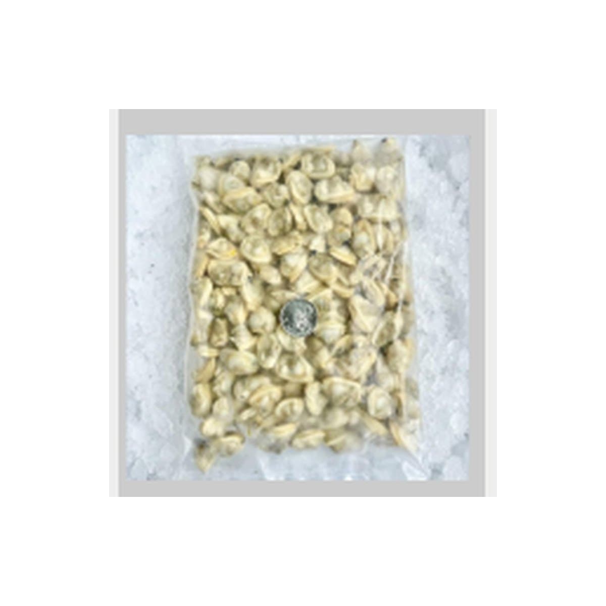 Baby Clam Meat