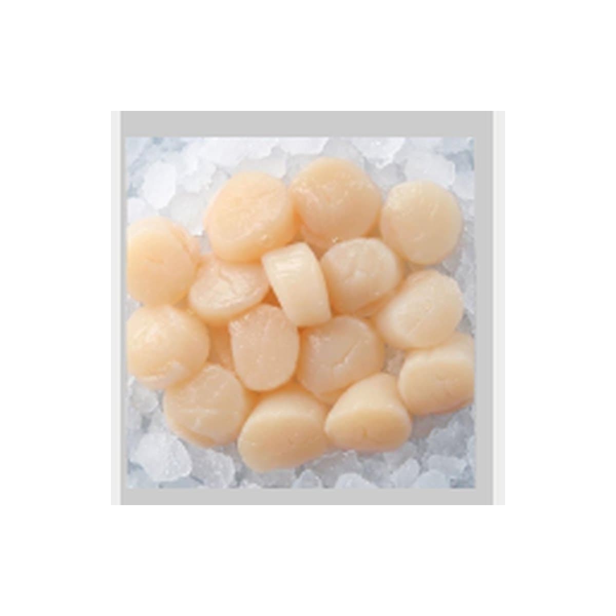 Clearwater MSC Scallop Meat