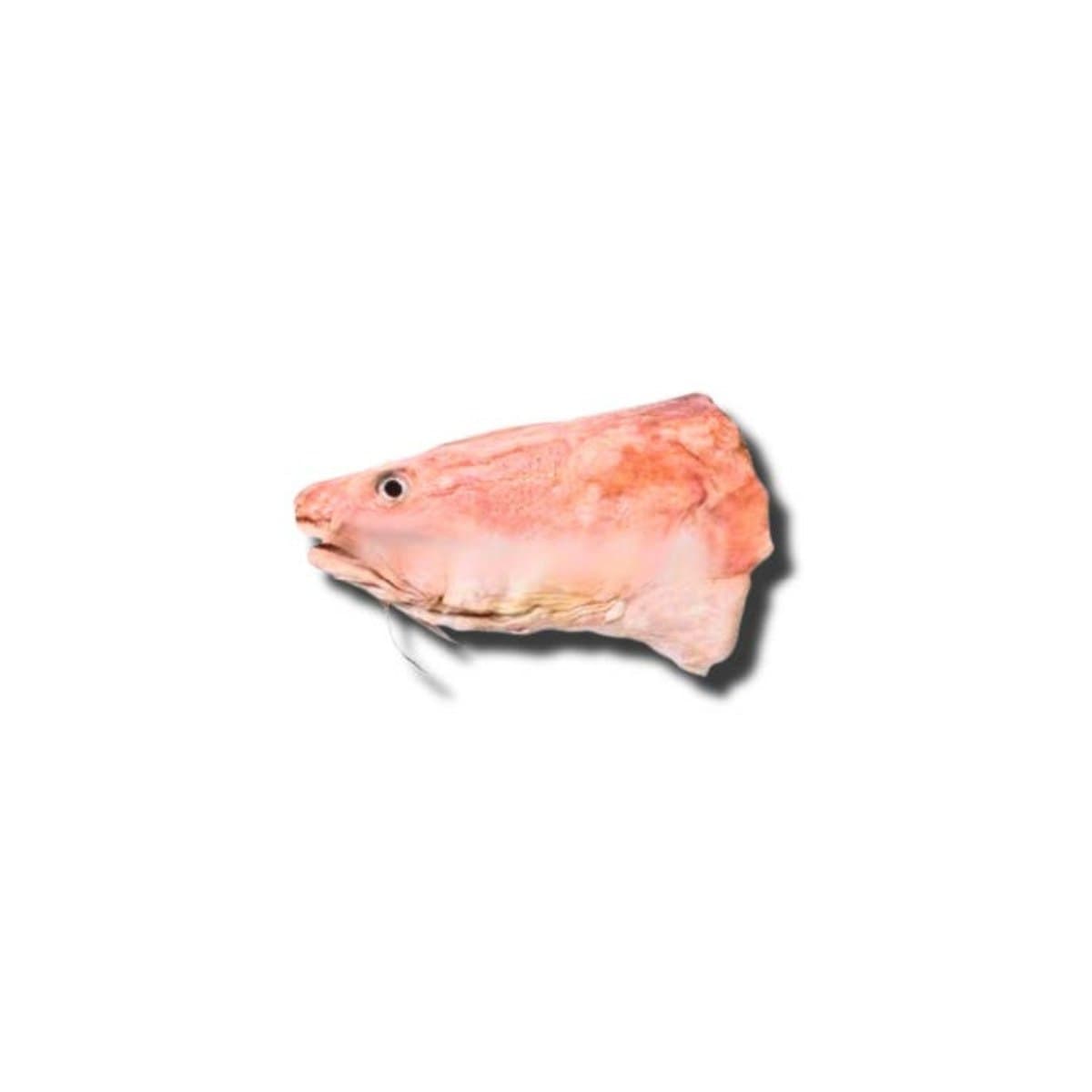 Fish Ling Head