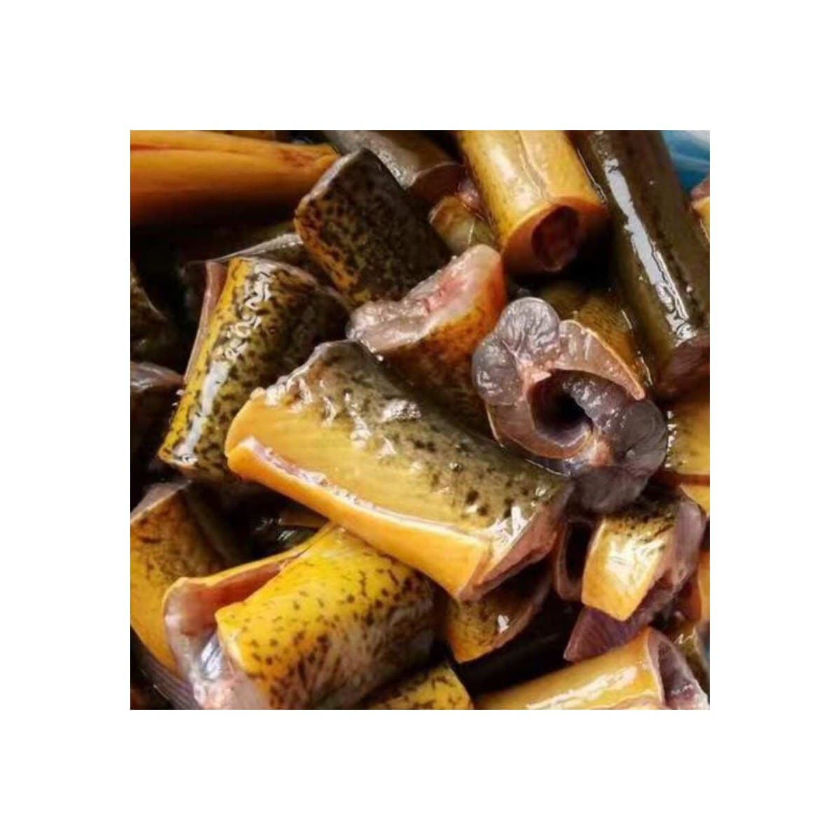Frozen Yellow Eel