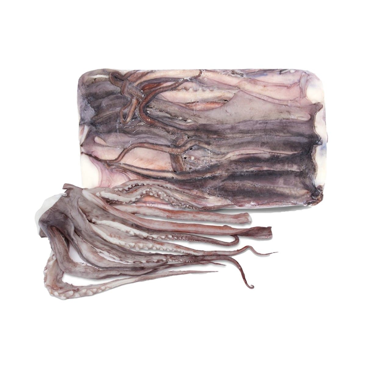 Squid Tentacles