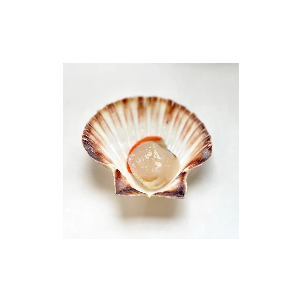 Shellfish