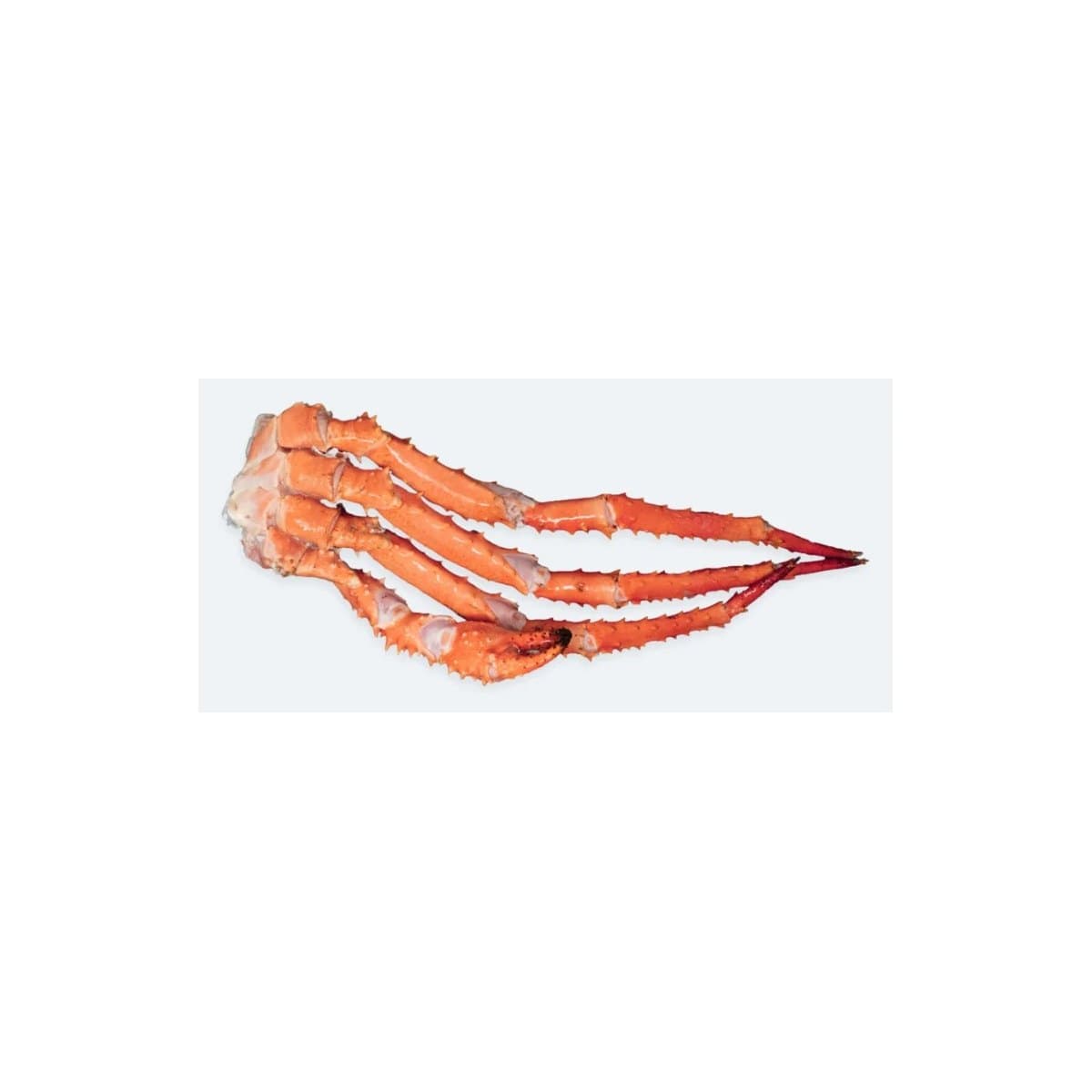 Specialty Seafood