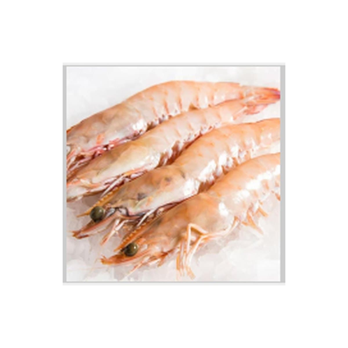 King Prawns