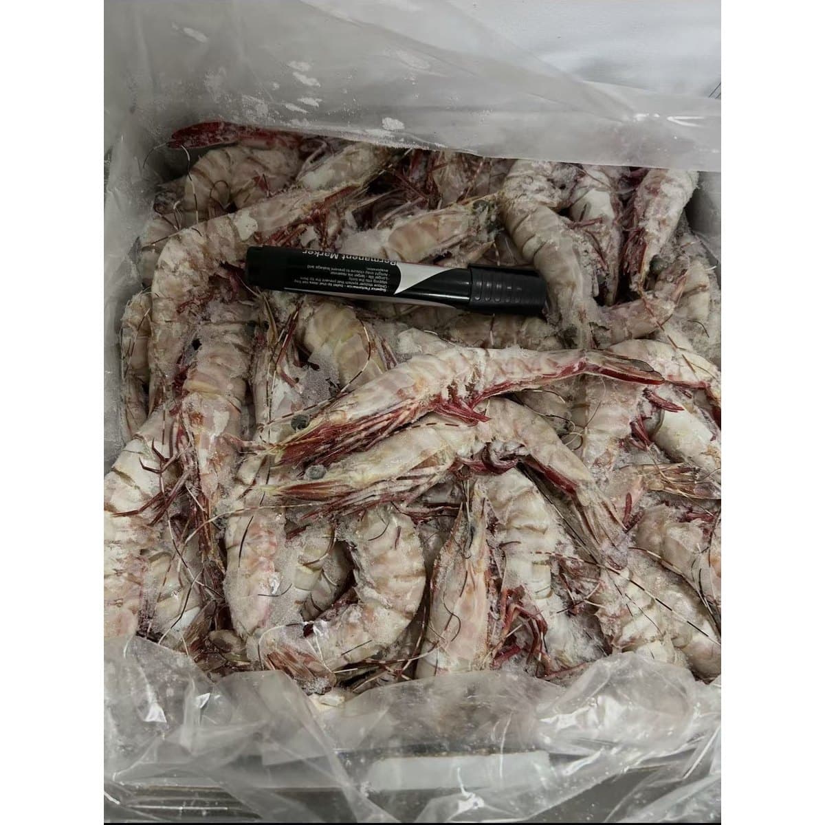 Raw Tiger Prawns